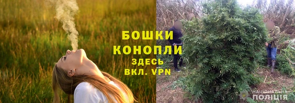 трава Вязьма