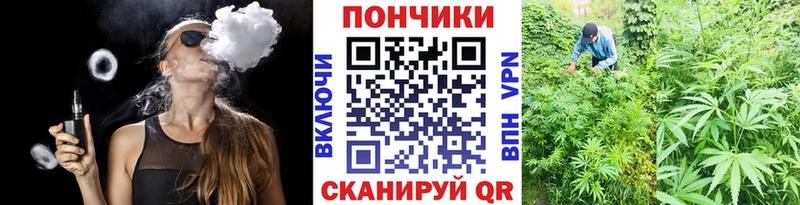 Каннабис Amnesia  Онега 